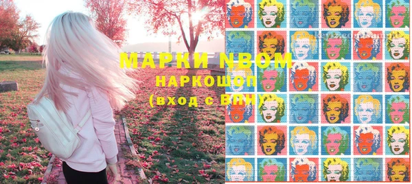 хмурый Рославль