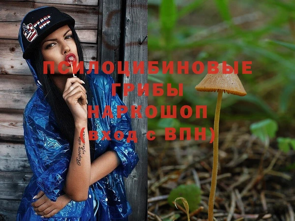 хмурый Рославль